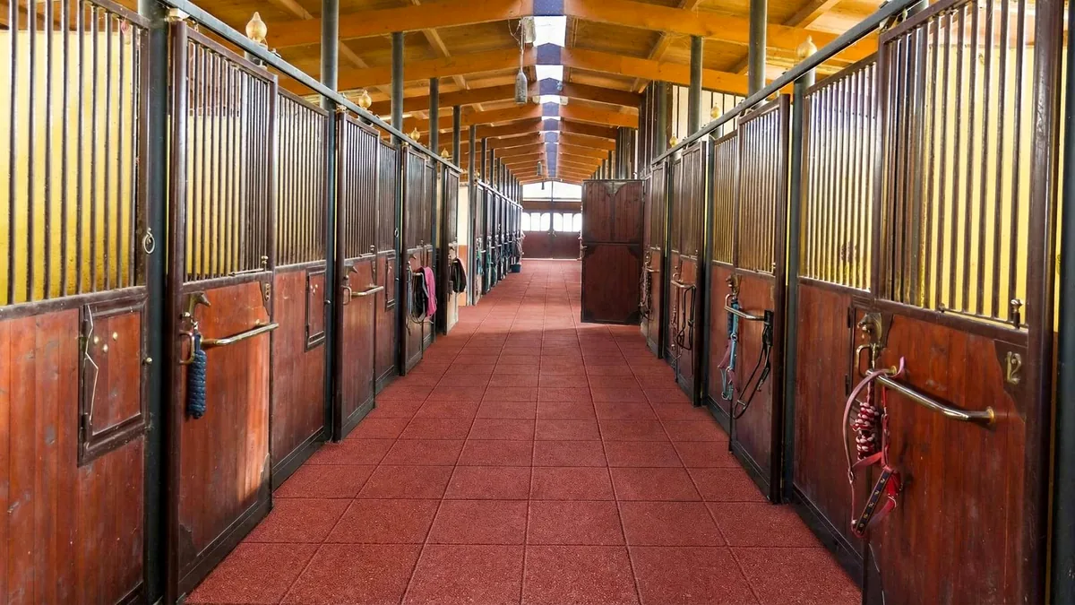 eco box pavimentazione corridoio scuderia